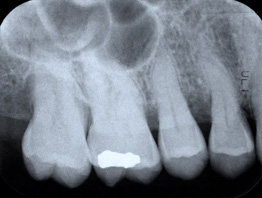 DENTIST - Ricardo Montes de Oca